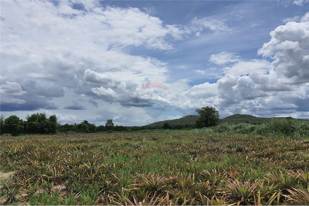 for sale in Phetchaburi for rent land